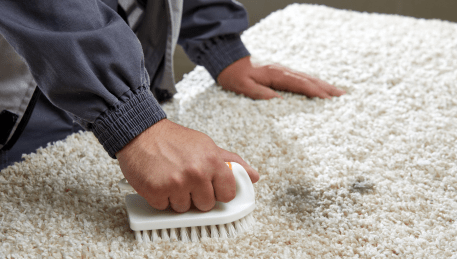 Professional Rug Cleaning Glen Iris