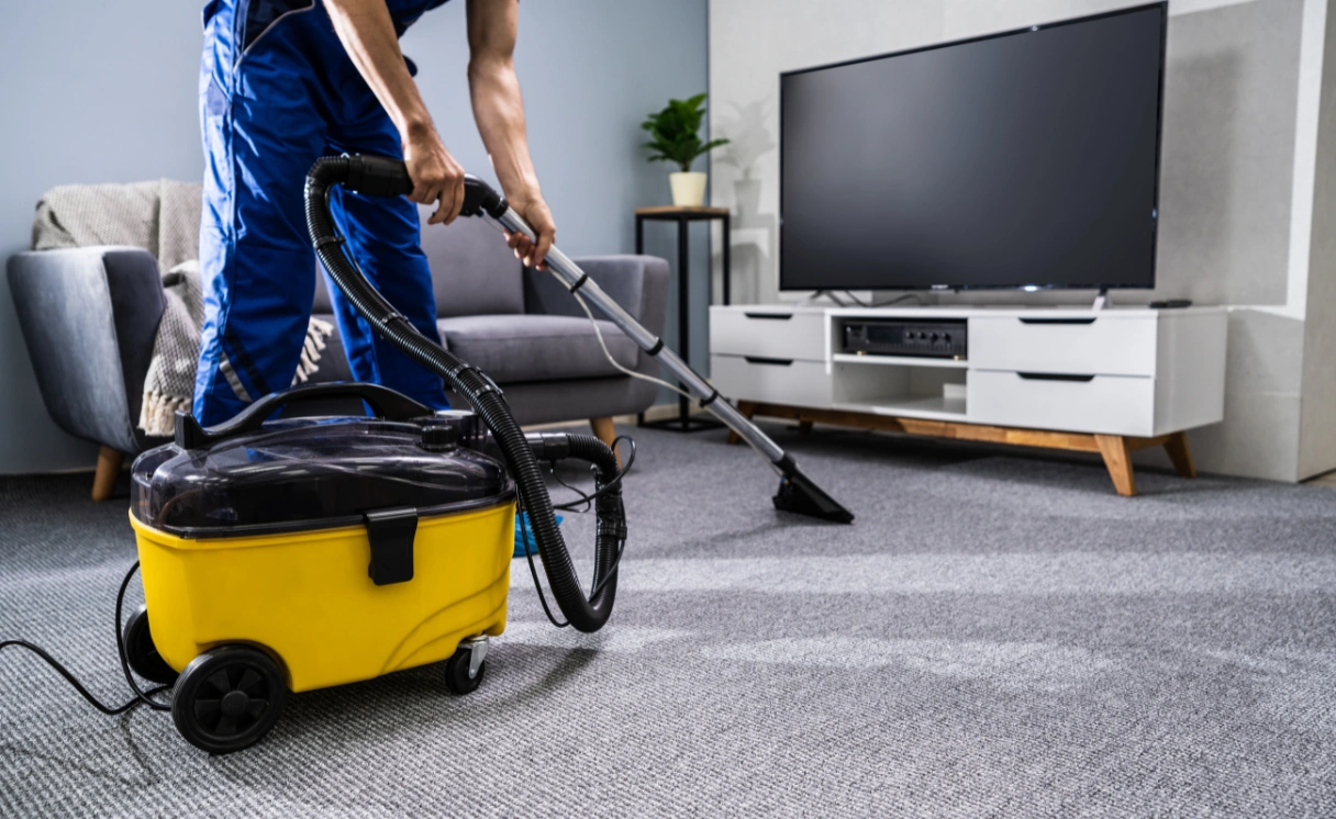 Extract Rug Cleaning Glen Iris Contact Office